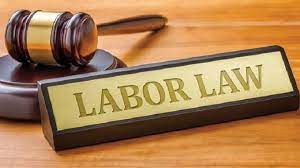 UAE Labour Law: Leaving Your job? Here Are Some Of Your Legal Entitlements And Benefits