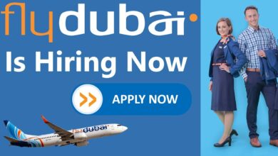 Check Out This Amazing 2024 Dubai Career Opportunity, Fly Dubai Is Hiring Cabin Crew (Salary Up To 7500AED)